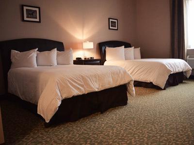 Belvedere Inn Schenectady - Albany Pokój zdjęcie